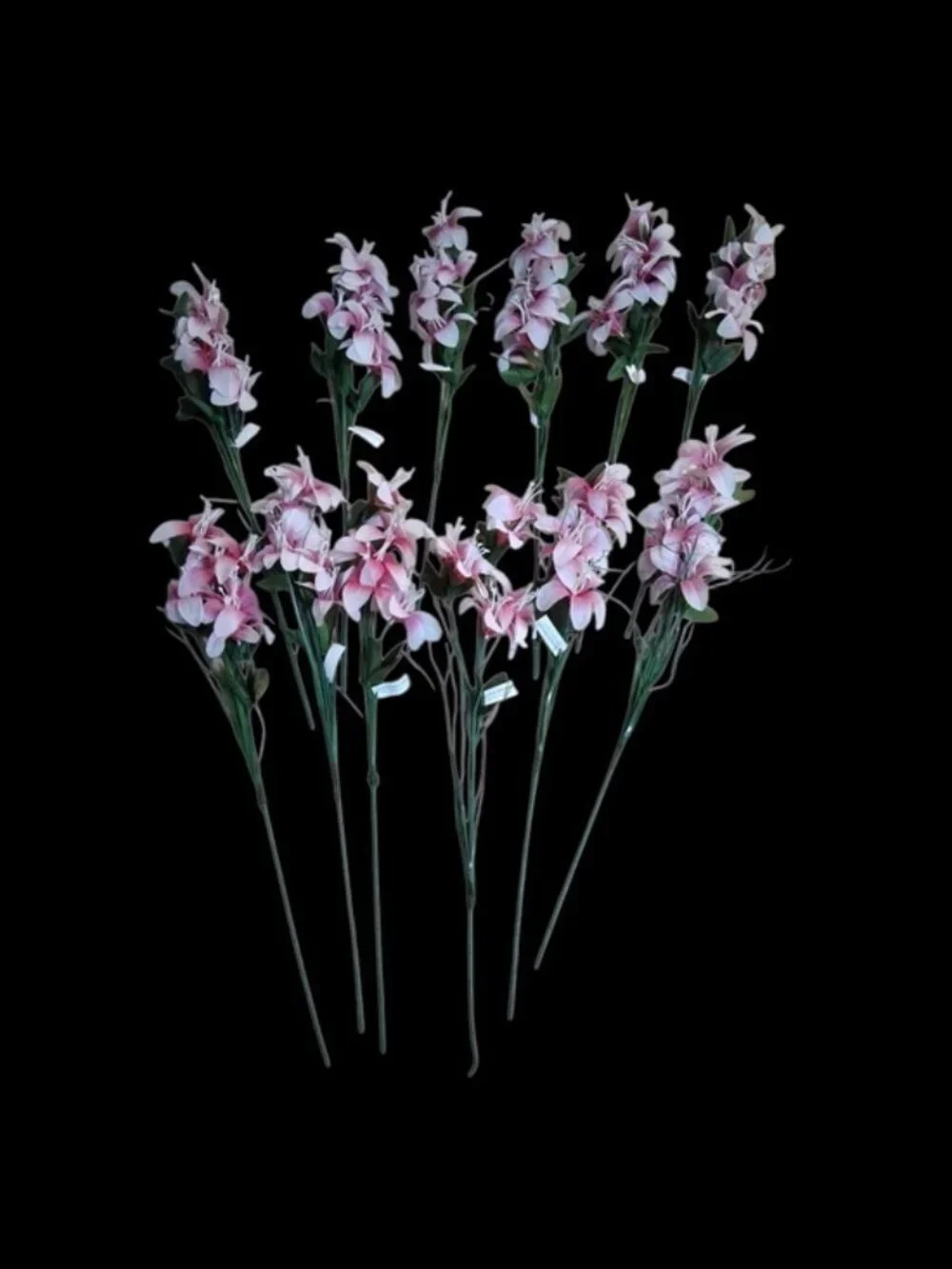 FIGLIOLINI S.R.L. elegant pink